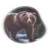 ERGOBAG - Kletties - Grizzly Bär