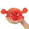 AURORA Palm Pals Snippy Grab auf der Hand