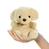 AURORA Palm Pals Sunny Labrador Dog auf der Hand