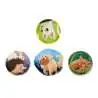 ERGOBAG Schulrucksack Set 6 tlg PACK - Flower PowBär Kletties