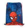 SCOOLI Schulranzen Set EasyFit 5 tlg - Spider Man Sporttasche